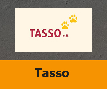 Tasso web