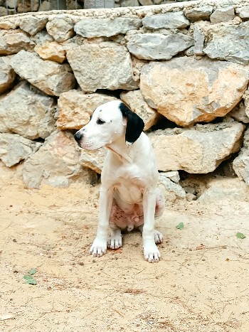 fotor 1685365233311